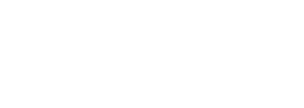 E-commerce Revolutie